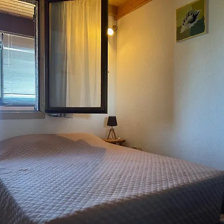 T2 Mezzanine Saint-cyprien: Proche Plage, Parking Securise, Equipe, Animaux Acceptes - Fr-1-793-6 *