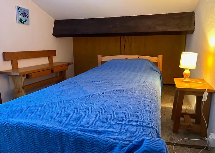 Appartement T2 Mezzanine Saint-cyprien: Proche Plage, Parking Sécurisé, équipé, Animaux Acceptés - Fr-1-793-6 *