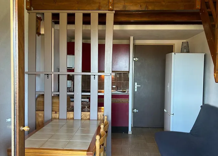 T2 Mezzanine Saint-cyprien: Proche Plage, Parking Sécurisé, équipé, Animaux Acceptés - Fr-1-793-6