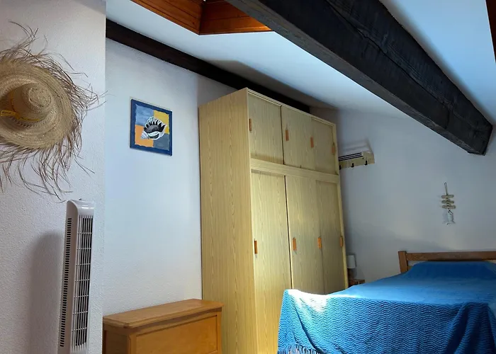T2 Mezzanine Saint-cyprien: Proche Plage, Parking Sécurisé, équipé, Animaux Acceptés - Fr-1-793-6 Appartement *