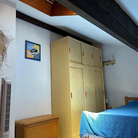 T2 Mezzanine Saint-cyprien: Proche Plage, Parking Securise, Equipe, Animaux Acceptes - Fr-1-793-6 Apartmán *