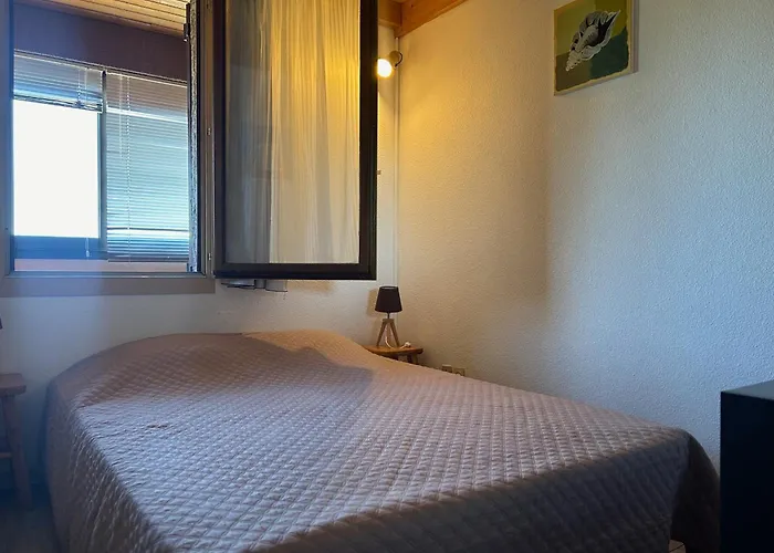 T2 Mezzanine Saint-cyprien: Proche Plage, Parking Securise, Equipe, Animaux Acceptes - Fr-1-793-6 *