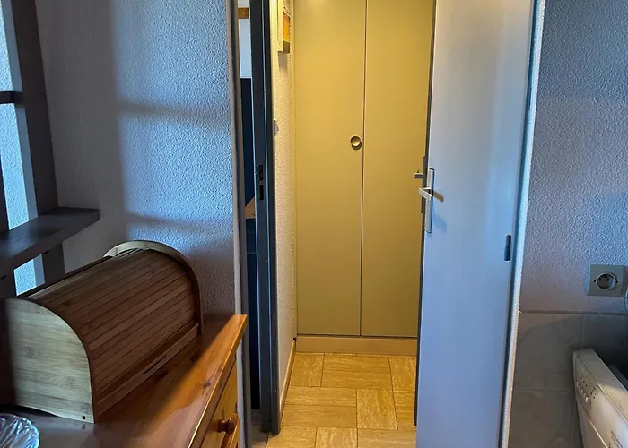 T2 Mezzanine Saint-cyprien: Proche Plage, Parking Securise, Equipe, Animaux Acceptes - Fr-1-793-6 Lejlighed Saint-Cyprien (Pyrenees-Orientales)