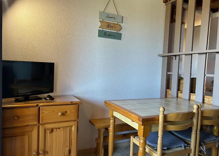 Lejlighed T2 Mezzanine Saint-cyprien: Proche Plage, Parking Securise, Equipe, Animaux Acceptes - Fr-1-793-6 Saint-Cyprien (Pyrenees-Orientales)